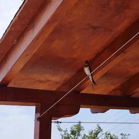 Casa Di Grigoris Holiday home *