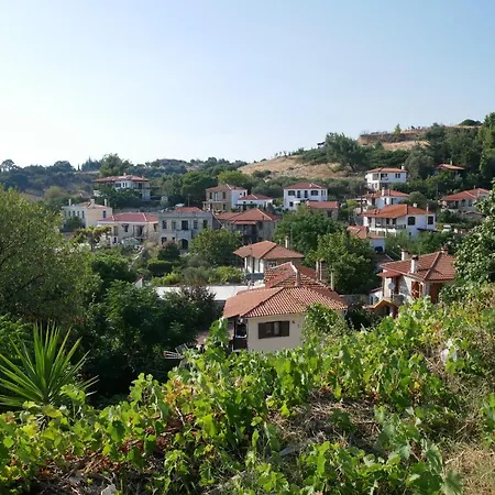 Casa Di Grigoris * ニキティ